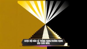 Cược đội nào sẽ thăng hạng_xuống hạng vào cuối mùa.